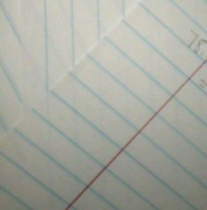 Meet your Posher, Iannia